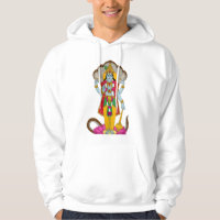 Moletom Lord Vishnu