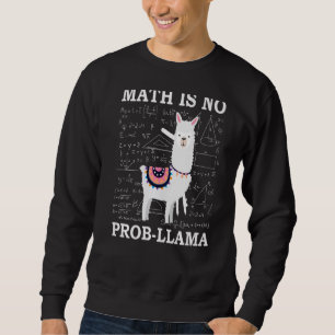 Moletom Matemática Não É Professor De Llama Alpaca
