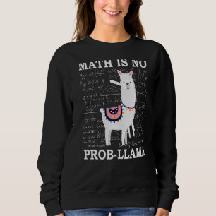 Moletom Matemática Não É Professor De Llama Alpaca