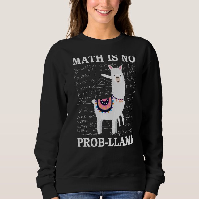 Moletom Matemática Não É Professor De Llama Alpaca (Frente)