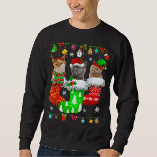 Moletom Meias de Natal Pajama Cat Kitten Lover Cat Mãe Ca