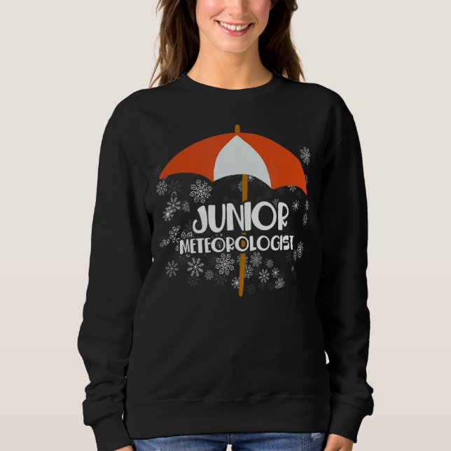 Moletom Meteorologista Especialista em Clima Júnior (Frente)