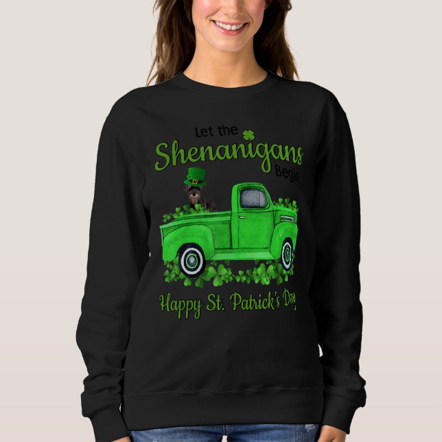 Moletom Miniatura Schnauzer Deixe Os Shenanigans Começar A (Frente)