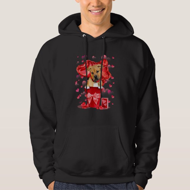Moletom Mistura de Pitbull com Boxer em Vaso Vermelho Feli (Frente)