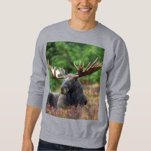 Moletom Moose Sweatshirt