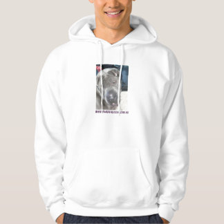 Moletom music5, www.sharpeirescue.com.au