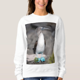 Moletom Na moda T-Shirt - Perfeito para o Visto do dia a d