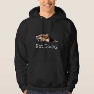 Moletom Não Hoje Cachorrinho Cute Corgi