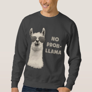 Moletom Nenhum lama do problema