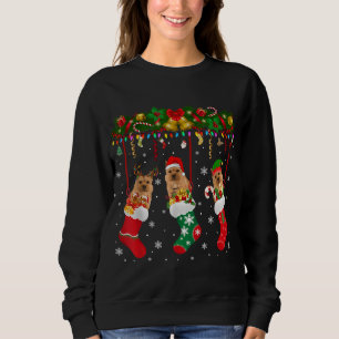 Moletom Norwich Terrier in Sock Xmas Reindeer Papais noeis