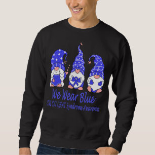 Moletom Nós Vestimos Azul para Síndrome do Bate-Papo Síncr