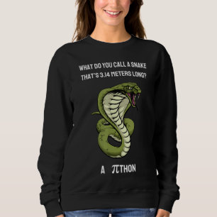 Moletom O Que Você Chama De Cobra Thatu2019s 3 14 Metros