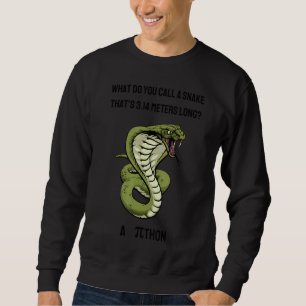 Moletom O Que Você Chama De Cobra Thatu2019s 3 14 Metros