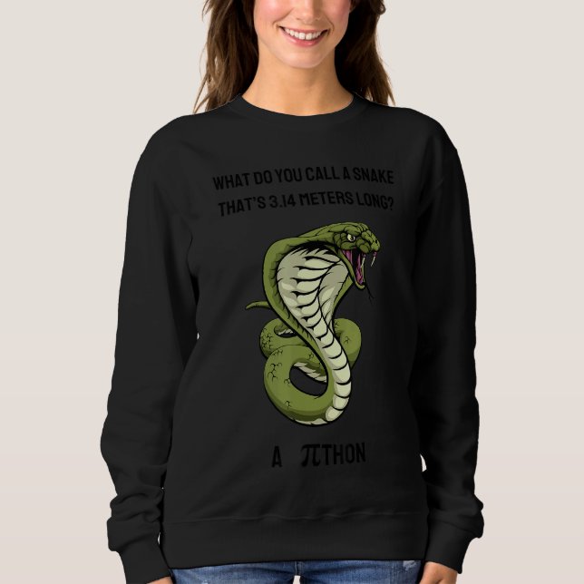 Moletom O Que Você Chama De Cobra Thatu2019s 3 14 Metros (Frente)