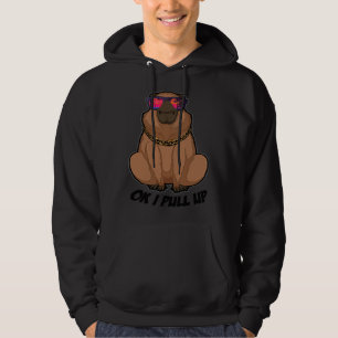 Moletom Ok eu puxo óculos de sol de capivara praia Capibar
