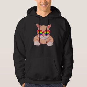 Moletom Orgulho Gay Queer Óculos de Sol Legais Bandeira Ar