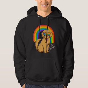 Moletom Ouro Retriever Cachorro Lgbt Óculos Arco-Íris Orgu