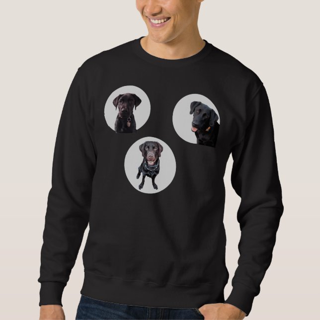 Moletom Pacote Sticker Best Labrador Retrievers (Frente)