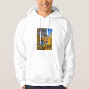 Moletom Paisagem de árvore de outono, Maine