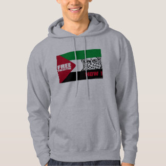 Moletom Palestina livre agora!