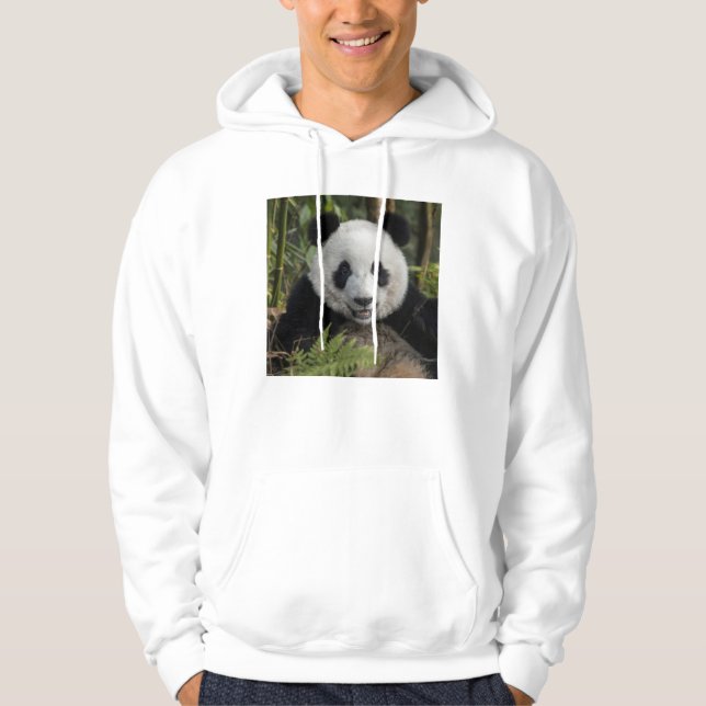 Moletom Panda jovem feliz, China (Frente)