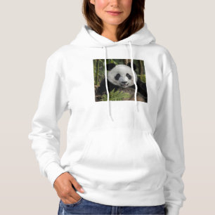 Moletom Panda jovem feliz, China