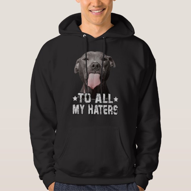 Moletom Para Todos Os Meus Odiadores Engraçados Cachorro D (Frente)