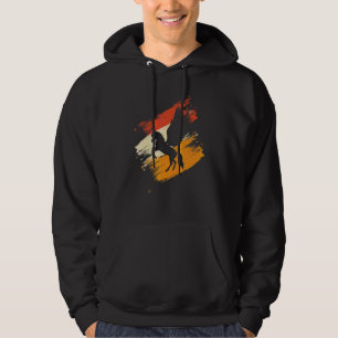 Moletom Pegasus Unicórnios Cavalos Retro Pegasos Meninas C