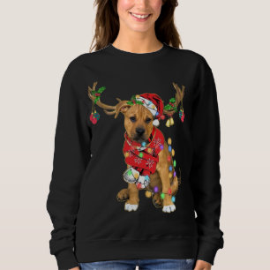 Moletom Pitbull boxer mistura belíssima Reindeer de Natal