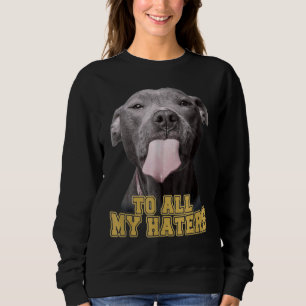 Moletom Pitbull Para Todos Os Meus Odiadores