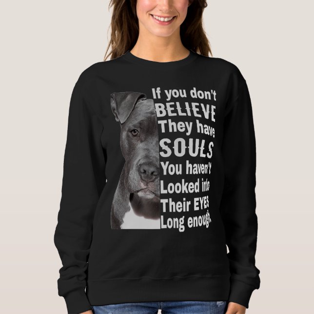 Moletom Pitbull Proprietário Soul Pitbull Eu Amo Pitbull P (Frente)