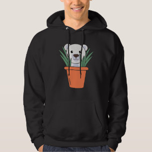 Moletom Plantas Ursos Polares Urso Flor Urso Pote Urso Pol