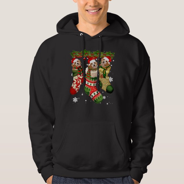 Moletom Poodle Em Sock Christmas Santa Hat (Frente)