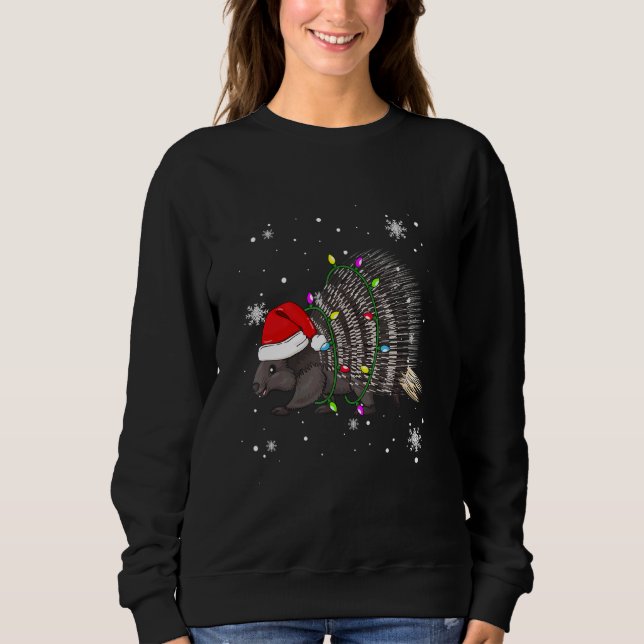 Moletom Porcupine Christmas Lights Led Santa Hat (Frente)