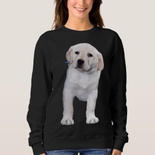 Moletom Posicionando Labrador Retriever