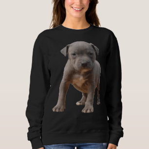 Moletom Potência de puppy Pitbull