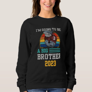 Moletom Promovido ao Big Bro 2023 Eu vou ser um grande irm