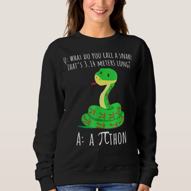 Moletom Python Pithon Pi Símbolo Engraçado Matemático Prof (Frente)