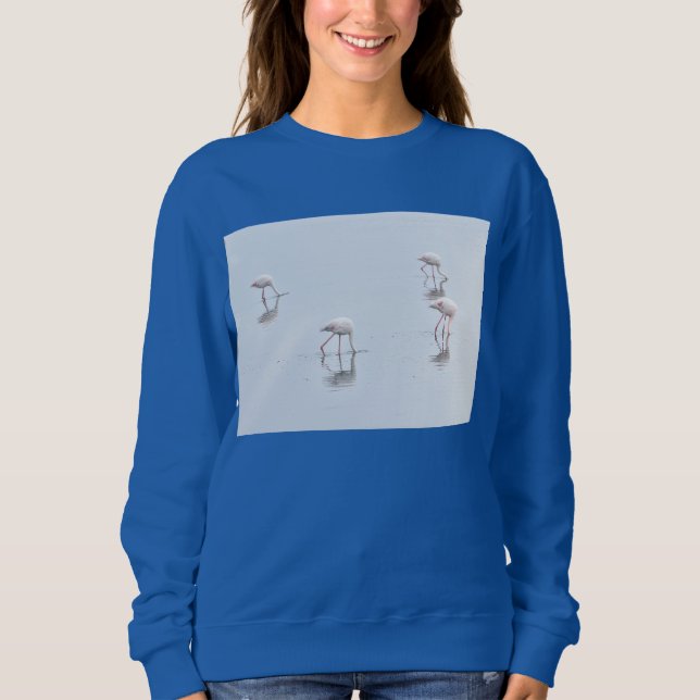 Moletom Quatro Flamingos. (Frente)