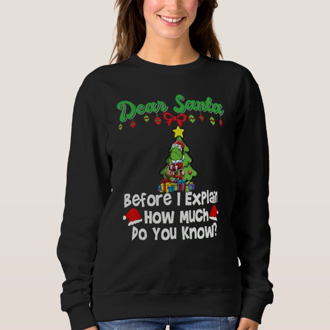 Moletom Querido Papai Noel Antes de Eu Explicar Quanto Voc (Frente)