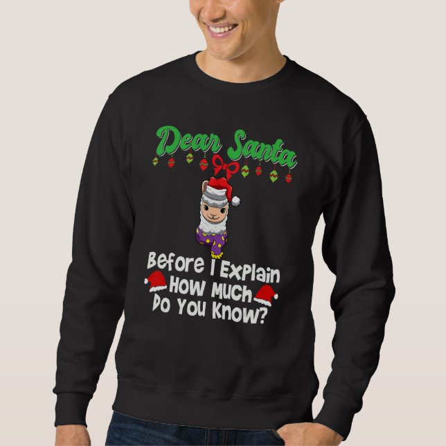 Moletom Querido Papai Noel Antes de Eu Explicar Quanto Voc (Frente)
