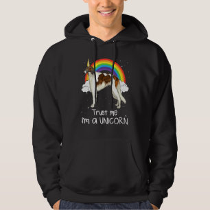 Moletom Rainbow Borzoi Acredita Em Mim Um Cão Unicórnio