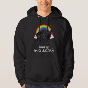 Moletom Rainbow Schipperke Confie Em Mim Sou Um Cão Unicór