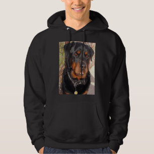 Moletom Retrato de Fotografia de Mature Male Rottweiler