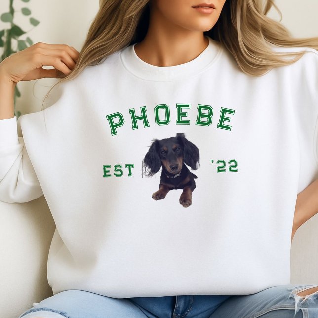 Moletom Retrato Pet Personalizado e Nome do Arco da Letra  (We love our pets! Why not wear them on our favorite cozy sweatshirt?)