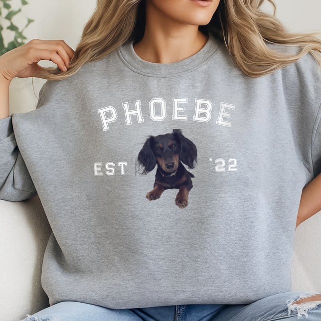 Moletom Retrato Pet Personalizado e Nome do Arco da Letra  (We love our pets! Why not wear them on our favorite cozy sweatshirt?)