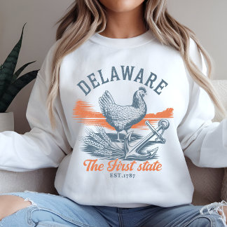 Moletom Retro Delaware State Pride Graphic