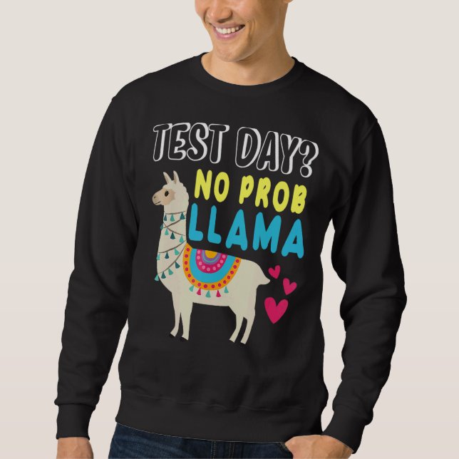 Moletom Rock The Test Day Llama Teacher Testing (Testes De (Frente)