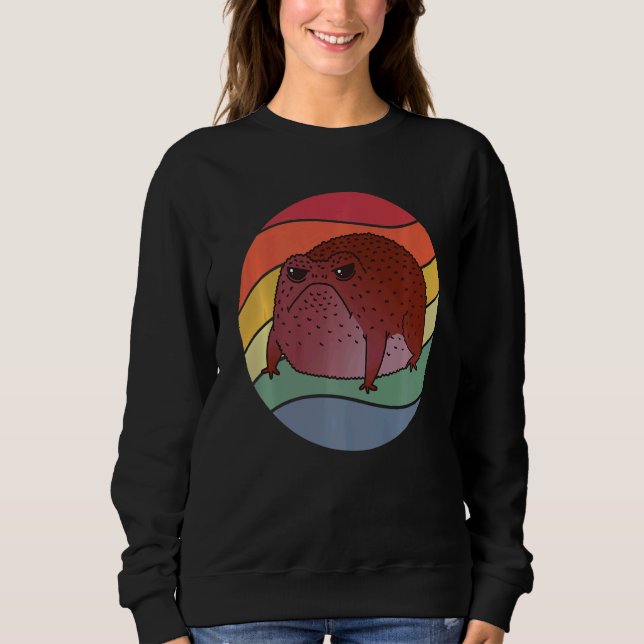 Moletom Sapo Vintage Rain (Frente)