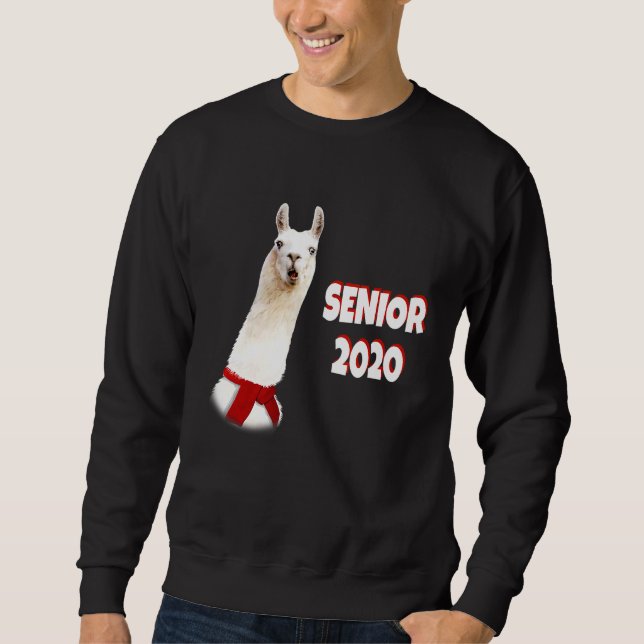Moletom SÊNIOR 2020 Llama Senior (Frente)